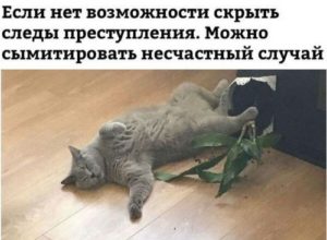 Лучшие анекдоты смешные до слез новые